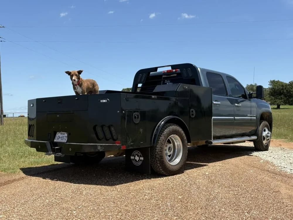 Commercial Vehicle
