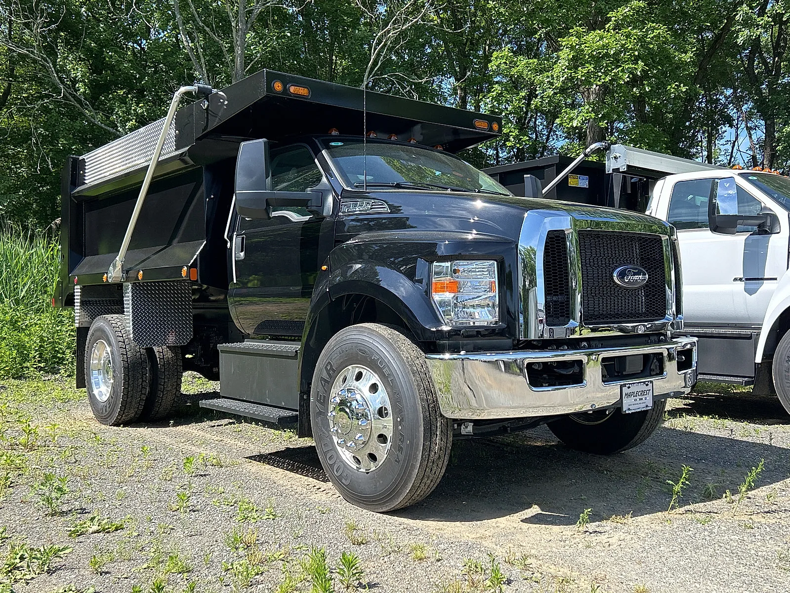 2025 Ford F-650 - Dump