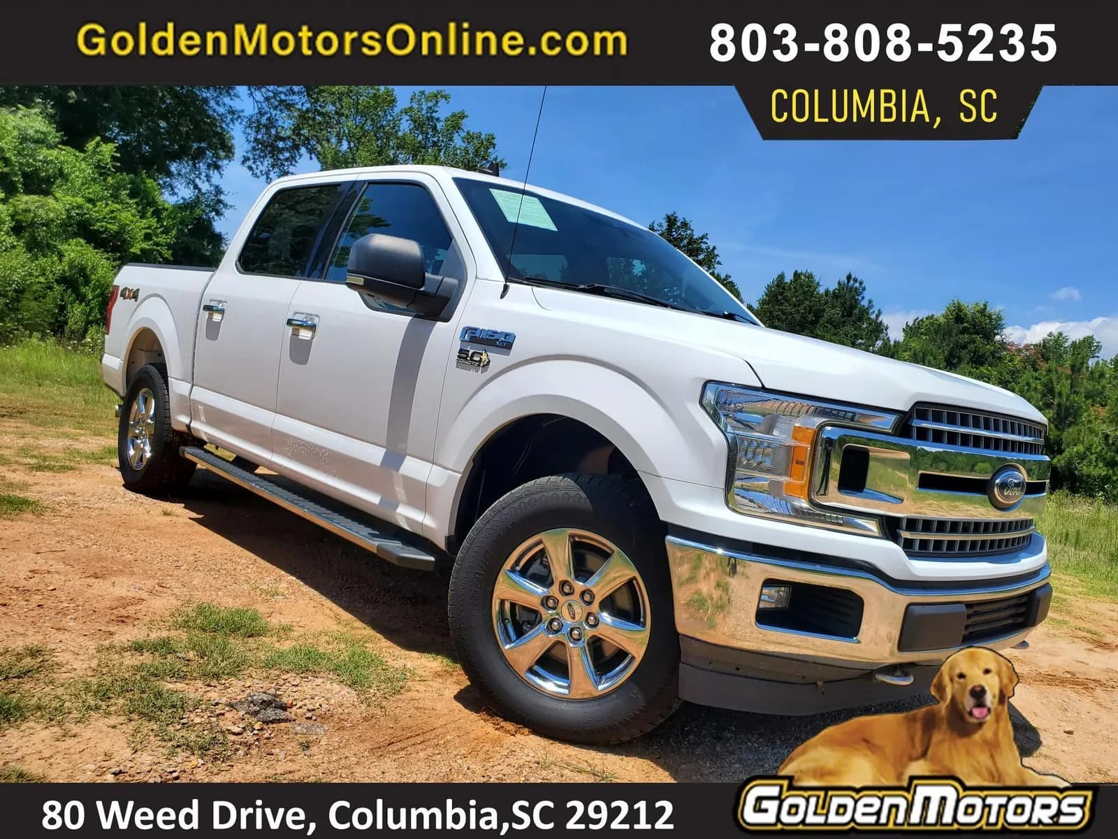 2019 Ford F-150 XLT - Pickup