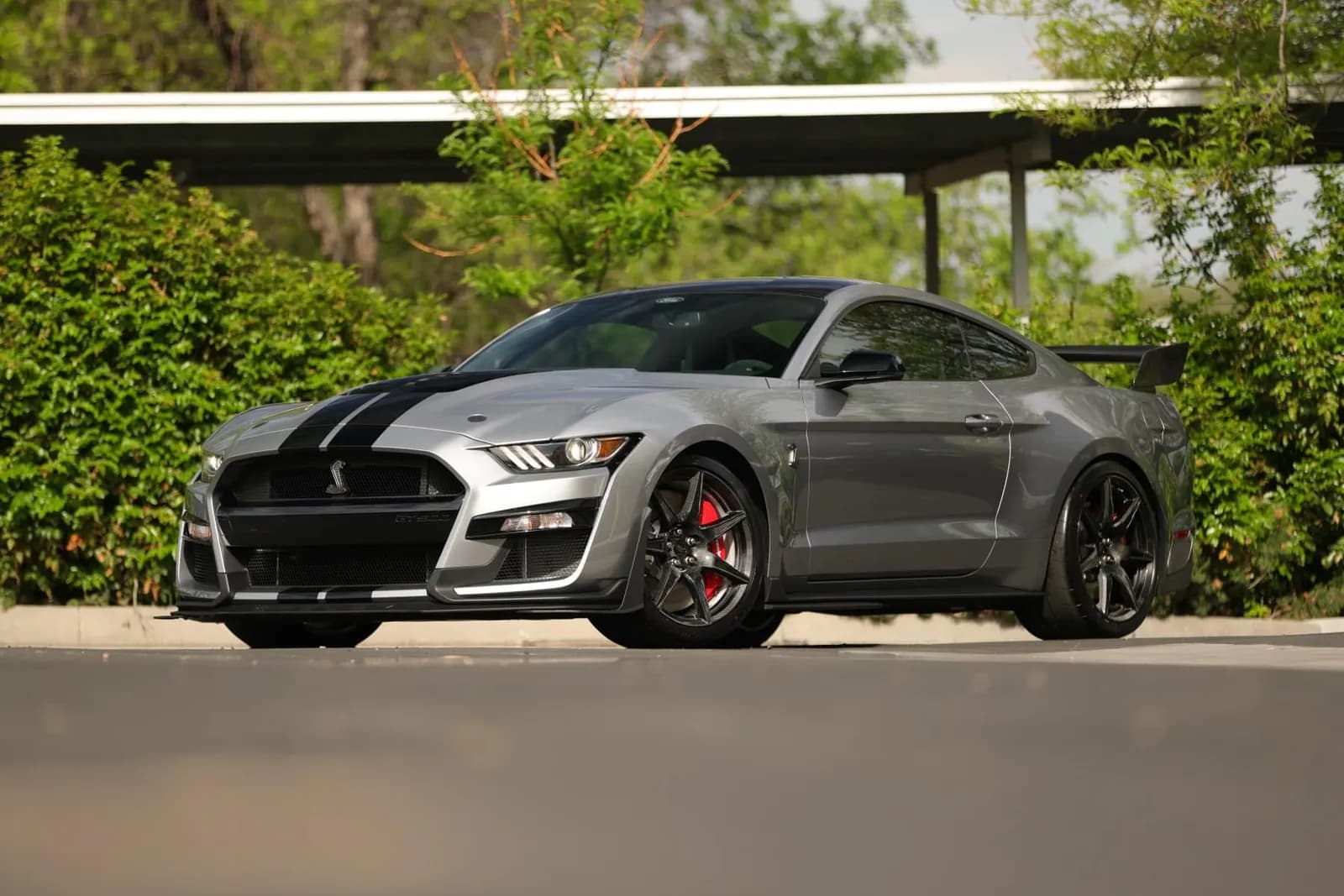 2021 Shelby GT500 – Golden Ticket Car!