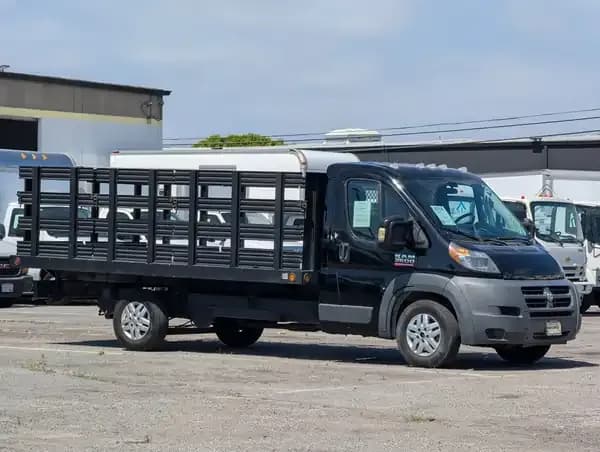 2014 Ram ProMaster - Stake