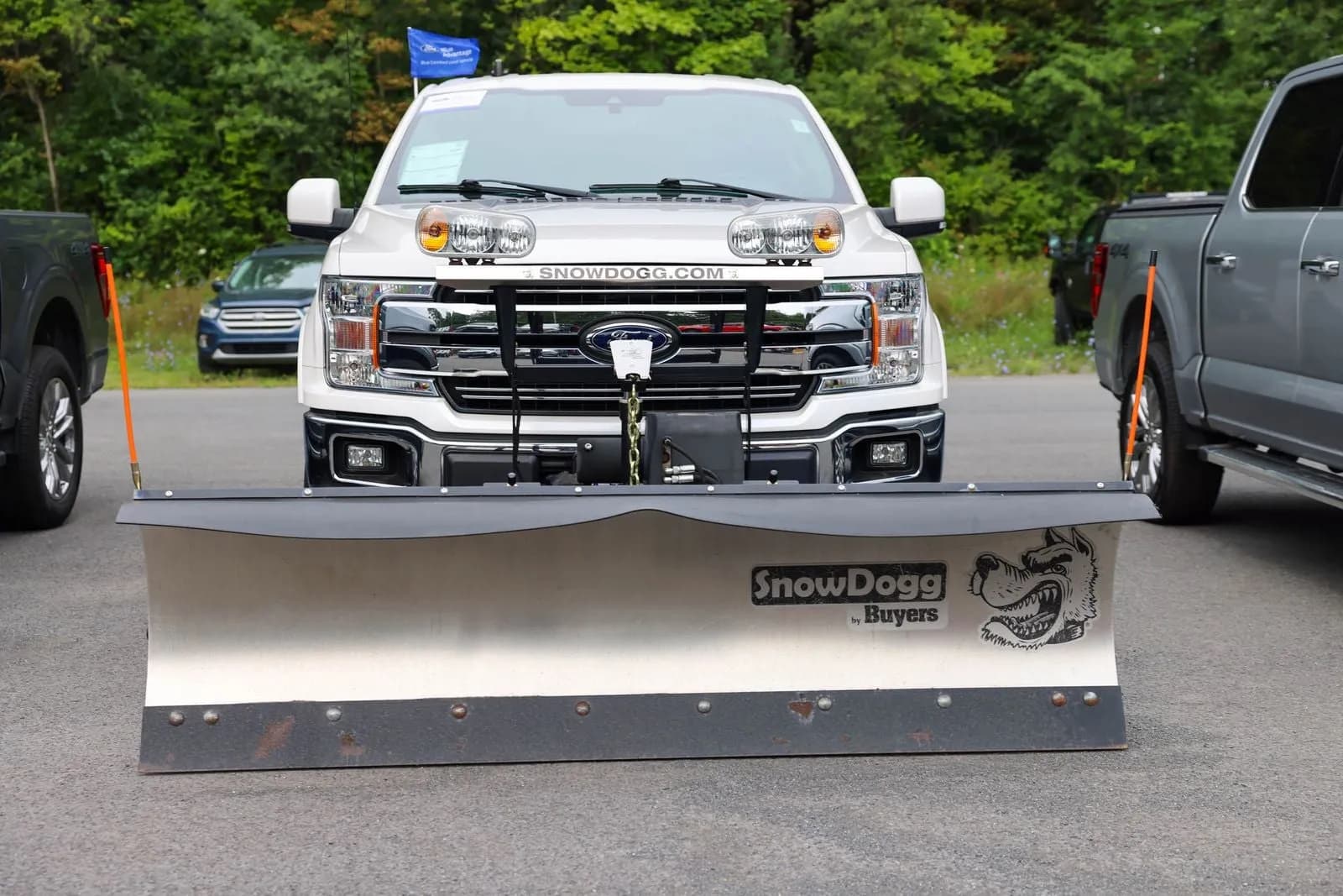 2019 Ford F-150 - Pickup