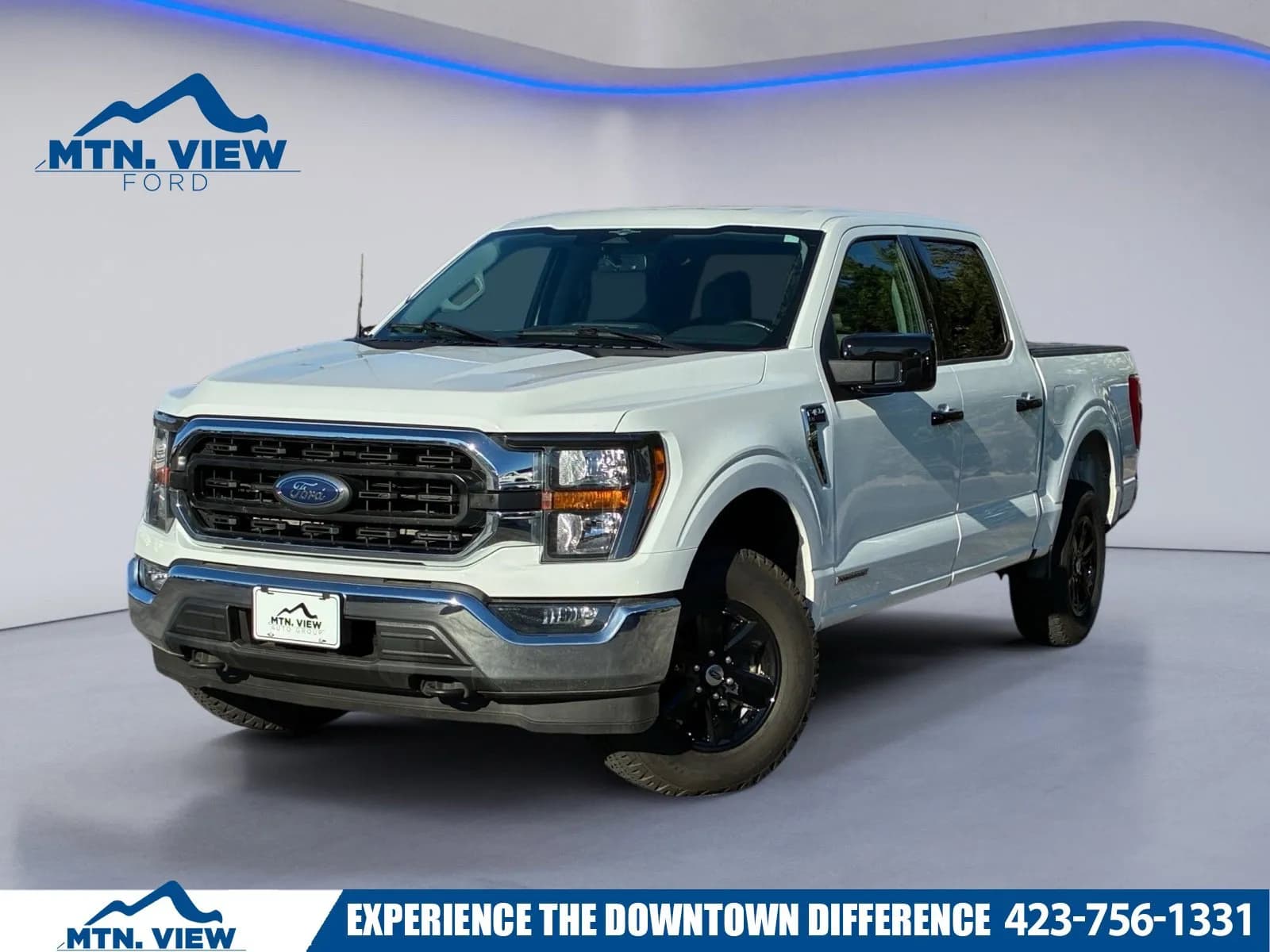 2010 Ford F-150 - Pickup