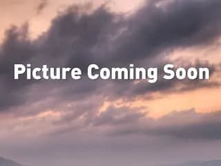 2025 Ram 3500 Chassis Cab - Chassis