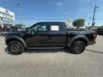2019 Ford F150 Raptor - Pickup